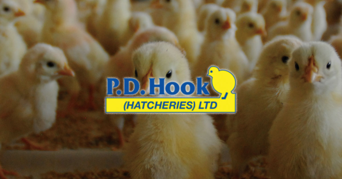 P.D. Hook Case Study – Modernising agriculture at scale with powerful collaborative applications